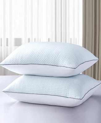 Serta Flipable Summer/Winter White Goose Feather 2-Pack Pillow