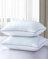 Serta Flipable Summer Winter White Goose Feather 2 Pack Pillows