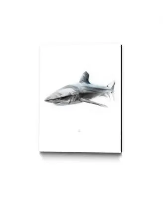 Eyes On Walls Alexis Marcou Shark Museum Mounted Canvas