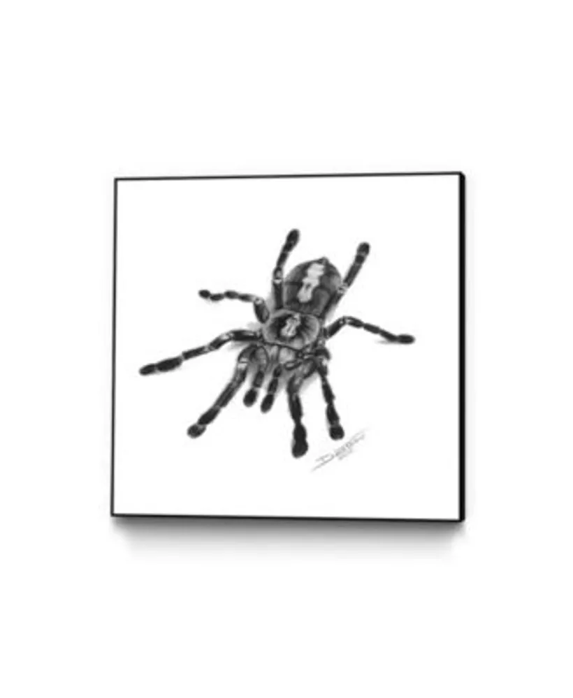 Eyes On Walls Dino Tomic Spider Art Block Framed