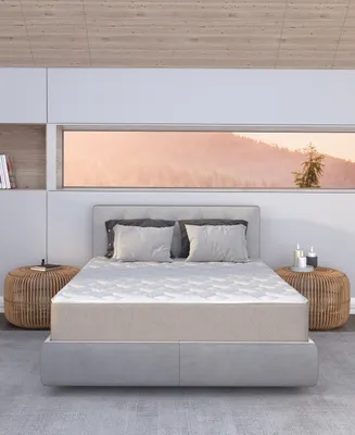 Dusk & Dawn 12" Medium Plush Mattress- Queen