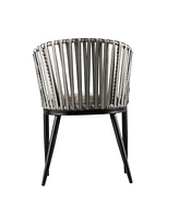 Southern Enterprises Anisa Outdoor Chairs with Cushions 2 Piece Set