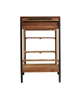 Southern Enterprises Briallen Outdoor Bar Cart