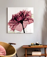Empire Art Direct Chianti Rose I Frameless Free Floating Tempered Glass Panel Graphic Wall Art, 24" x 24" x 0.2"