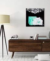 Empire Art Direct Snowball Frameless Free Floating Tempered Glass Panel Graphic Cat Wall Art, 20" x 20" x 0.2"