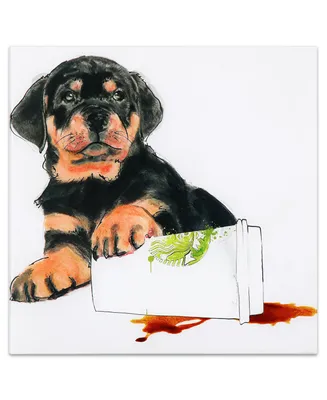 Empire Art Direct Java's Paw Frameless Free Floating Tempered Glass Panel Graphic Dog Wall Art, 20" x 20" x 0.2"