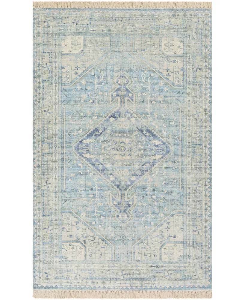 Surya Zainab Zai-2304 Mist 2' x 3' Area Rug