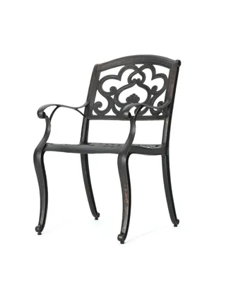 Noble House Austin Outdoor Cast Dining Chairs, Set of 2