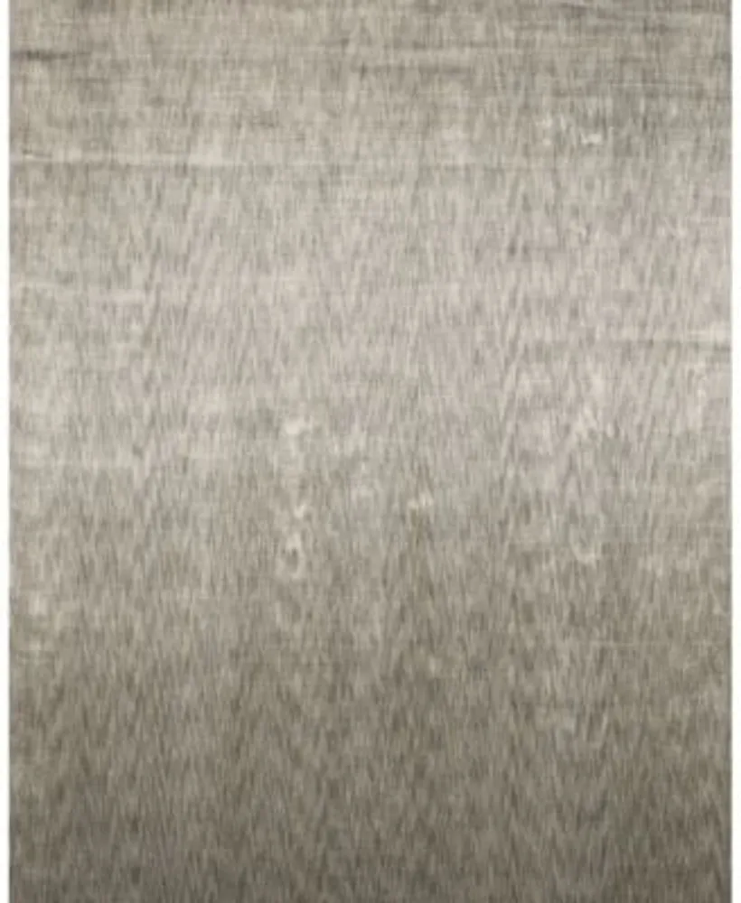 Closeout Feizy Janelle R6417 Silver Area Rug