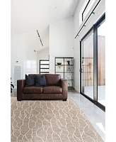 Feizy Enzo R8734 Ivory 5' x 8' Area Rug