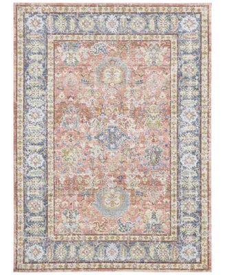 Amer Rugs Century Cen-16 Coral 2' x 3' Area Rug