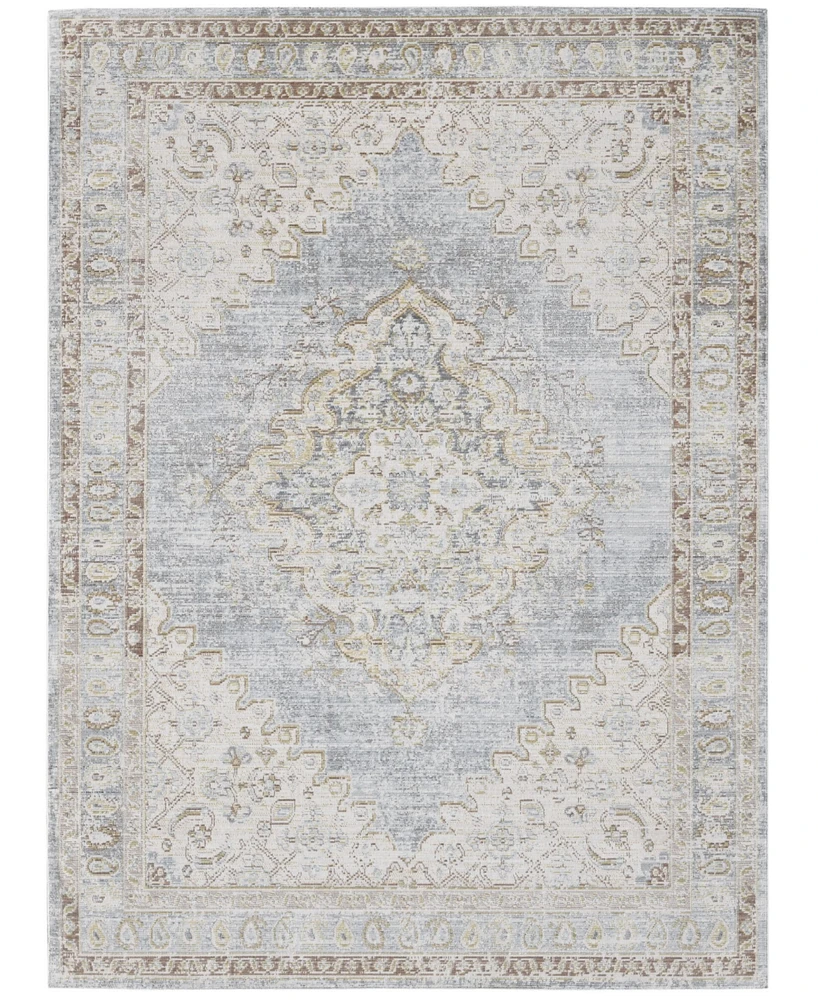 Amer Rugs Century Cen-11 Gray/Ivory 5'3" x 7'3" Area Rug
