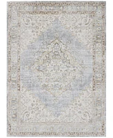 Amer Rugs Century Cen-11 Gray/Ivory 5'3" x 7'3" Area Rug