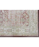 Amer Rugs Century Cen-8 Salmon 3'11" x 5'11" Area Rug