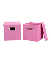 Household Essential Storage Bins with Lids, Set of 2