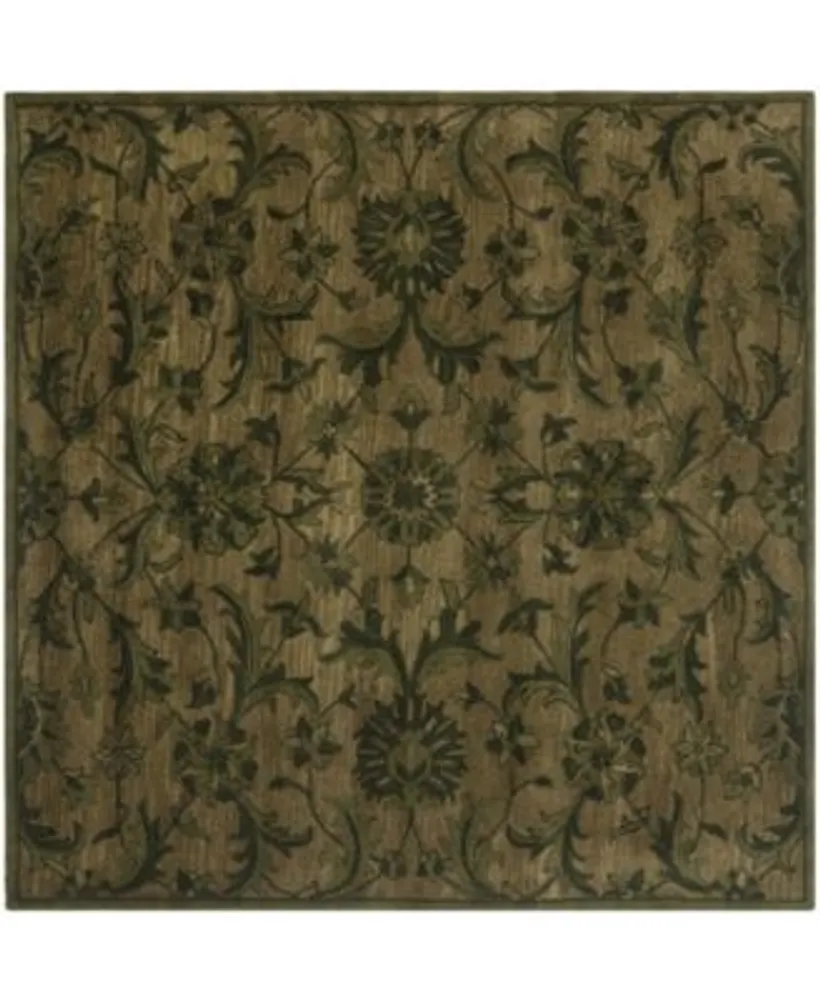 Safavieh Antiquity At824 Area Rug