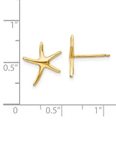 Starfish Stud Earrings in 14k Gold