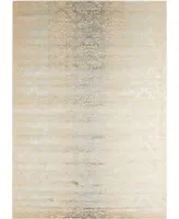 Nourison Home Luminance LUM03 Beige 3'5" x 5'5" Area Rug