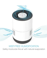 Pure Enrichment MistAire Eva 4-Speed Evaporative Humidifier