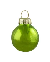 Northlight 24 Count Kiwi 2-Finish Glass Ball Christmas Ornaments