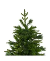 Northlight Medium Rose Mary Emerald Angel Pine Artificial Christmas Tree-Unlit