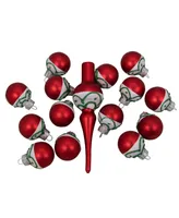 Northlight 15 Count Frosted Tree Topper with Christmas Ball Ornaments