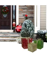 Northlight Gi Box Lighted Christmas Outdoor Decoration