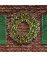 National Tree Company 48" Carolina Pine Wreath with 200 Clear Lights