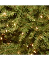 National Tree 9' Dunhill Fir Hinged Tree with 900 Low Voltage Dual Led Lights with 9 Function Footswitch