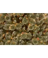 National Tree Glittery Bristle Pine With 900 Clear Lights