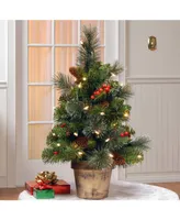 National Tree Company 2' Crestwood Spruce Tree w Silver Bristle, Cones, Berries and Glitter in a Plastic Bronze Pot w Clear Lights