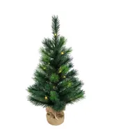 Kurt Adler 2.5' Battery-Operated Miniature Pine Tree