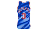 Mitchell & Ness Men's New Jersey Nets Hardwood Classic Swingman - Drazen Petrovic