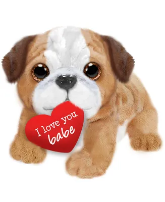 First and Main Valentine Bruno Bulldog