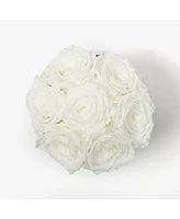 Infinity Roses Round Box of White Real Roses Preserved To Last Over A Year