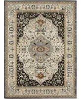 Karastan Zephyr Chronos Area Rug