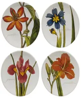 Botanical Flora 16 Piece Dinnerware Set