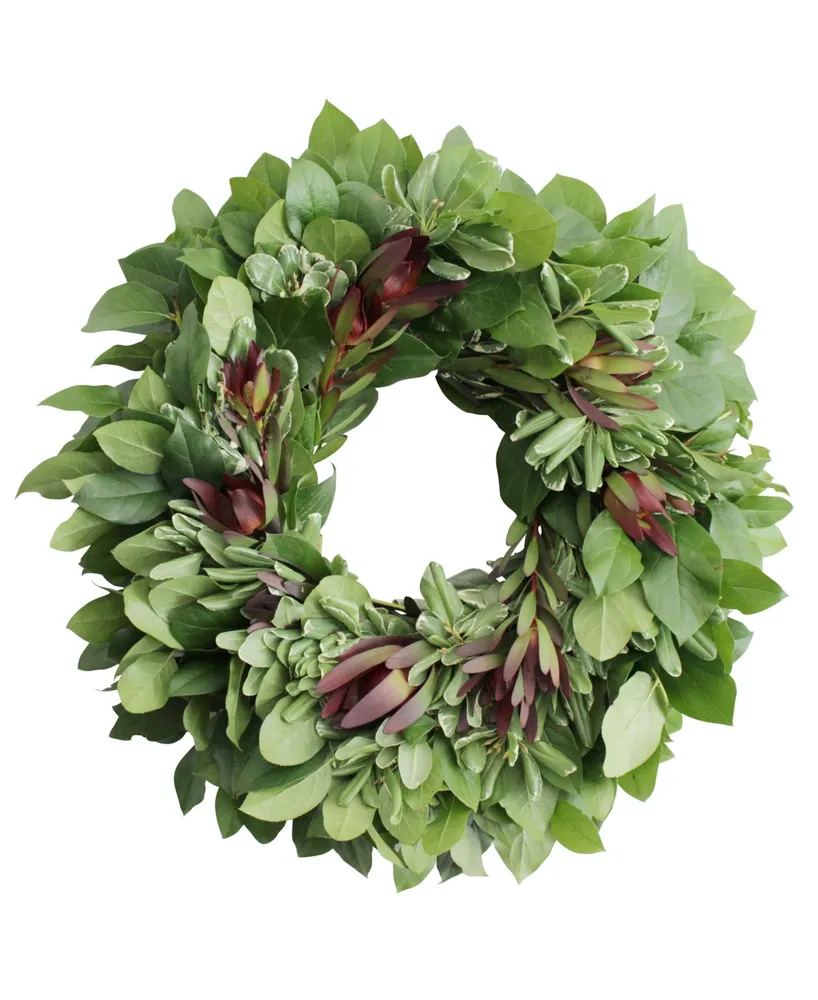 Magnolia Supply Co Fresh Lemon Leaf, Pittosporum and Safari Sunset Wreath, 20"