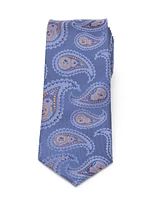 Star Wars Men's Bb-8 Paisley Silk Boys Tie