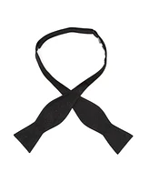 Star Wars Men's Darth Vader Paisley Bow Tie
