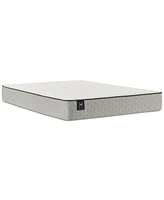 Sealy Essentials Summer Elm 8.5" Firm Mattress