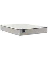 Sealy Essentials Summer Elm 8.5 Firm Mattress Collection