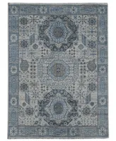 Amer Rugs Divine Dein 2' x 3' Area Rug