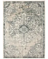 Amer Rugs Allure Antonette 7'9" x 9'9" Area Rug