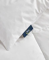 Serta Feather & Down All Season Comforter