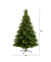 North Carolina Spruce Artificial Christmas Tree with Clear Lights and Bendable Branches