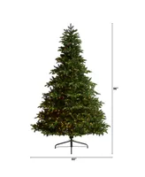 South Carolina Spruce Artificial Christmas Tree with 700 Warm Lights and 3412 Bendable Branches, 8'
