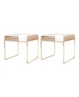 Elvord 1 Shelf End Table, Set of 2 - Gold