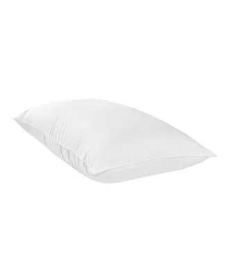 Sealy Healthy Nights Pillow, Standard/Queen