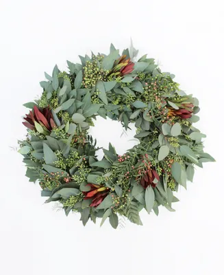 Magnolia Supply Co Fresh Seeded Eucalyptus, Red Berry and Safari Sunset Wreath, 20"